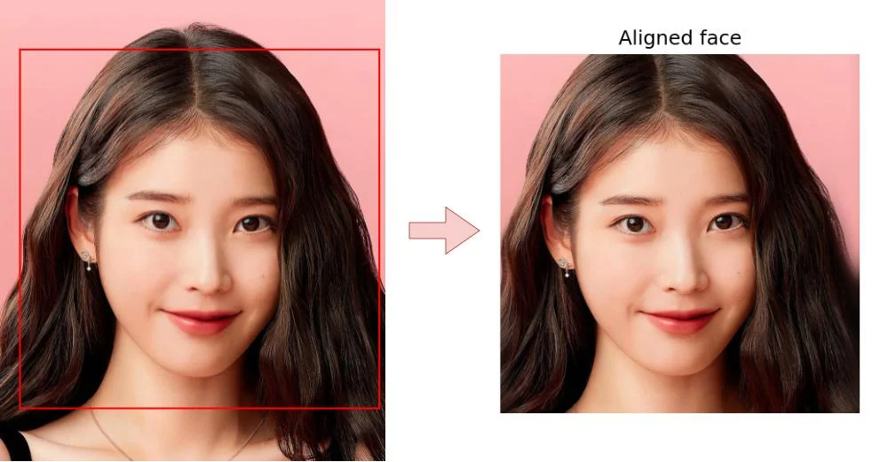 Crop and align the face